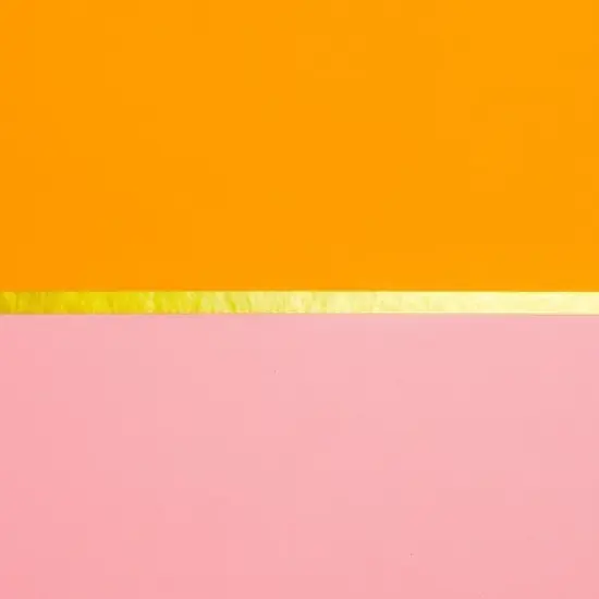 Best Year Ever 1" 3 Ring Binder Tangerine/Bubblegum image {3}