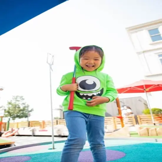 Disney Lion King Winnie the Pooh Pixar Monsters Inc. Mickey Mouse Lilo & Stitch Fleece Pullover Hoodie Infant to Little Kid image {1}