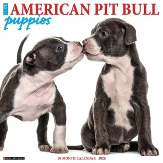 Willow Creek Press 2026 American Pit Bull Terrier Puppies Wall Calendar image {5}