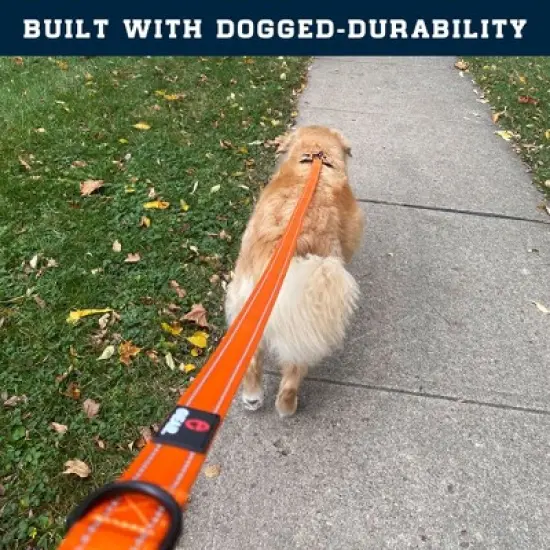 Locking Carabiner Nylon Dog Leash &ndash; 1 or 2 Handle &ndash; Enthusiast Gear image {7}