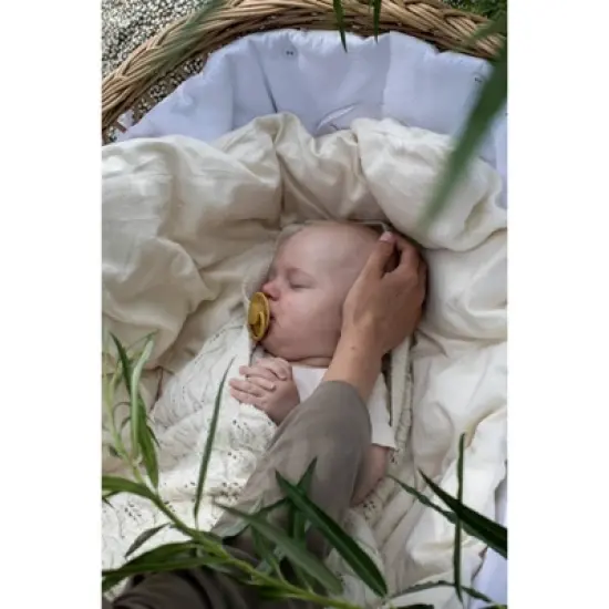 Bibs De Lux Silicone Pacifier - 0-3 Years - 2pk image {1}