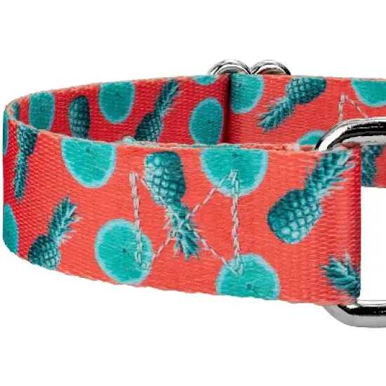 Country Brook Petz Tropical Tango Martingale Dog Collar (1/2 Inch, Extra Small) image {3}