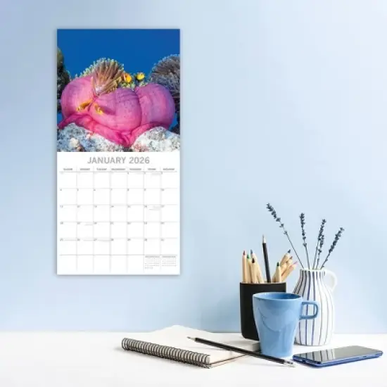 2026 Square Wall Calendar, Under the Sea, 16-Month Natural World Theme with 180 Reminder Stickers (12x12 In) image {1}