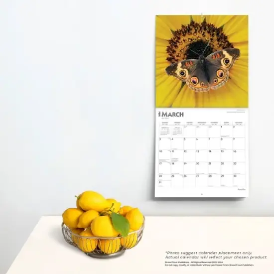 Browntrout 2024 Wall Calendar 12"x12" Butterflies image {3}