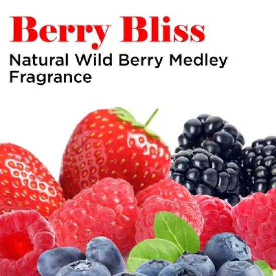 GROOMER ESSENTIALS Berry Clean Conditioner - 16 oz. image {3}