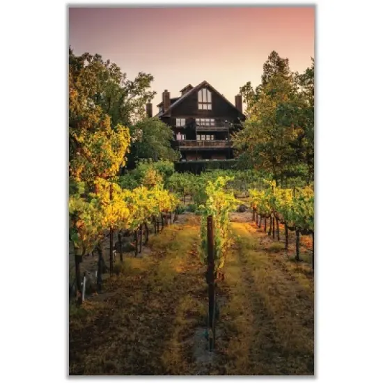 La Crema Sonoma Coast Chardonnay White Wine - 750ml Bottle image {8}