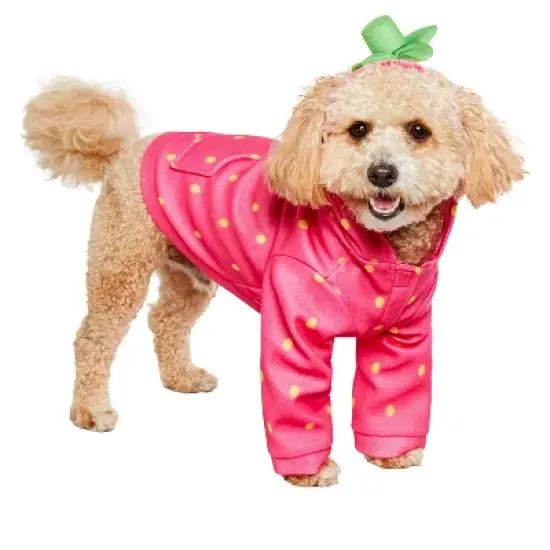 Rubies Sweet Strawberry Pet Costume image {1}