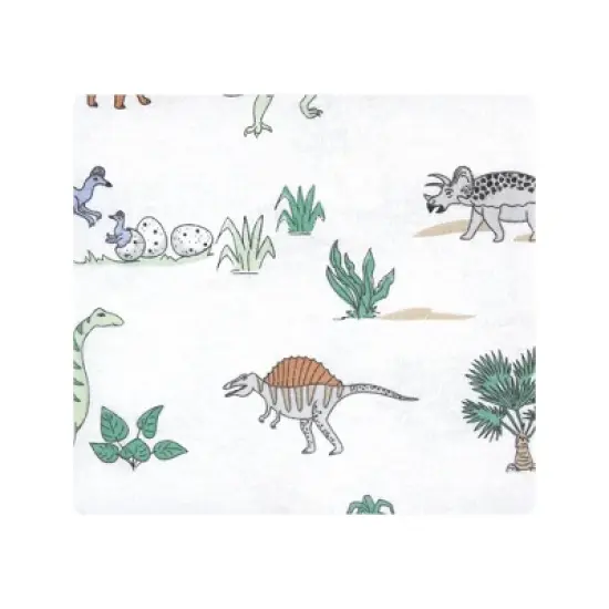 Hudson Baby Infant Boy Cotton Flannel Receiving Blankets, Boy Dino World, One Size image {2}