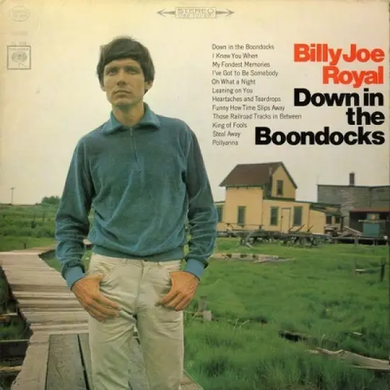 Billy Joe Royal - Down in the Boondocks (CD) image {1}