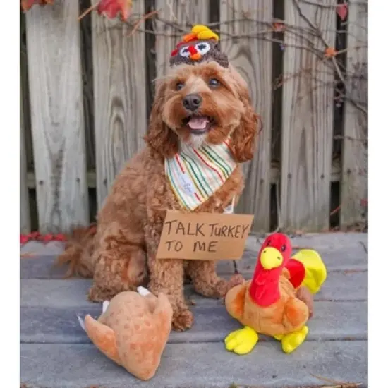 Midlee Roasted Thanksgiving Turkey Plush Dog Toy image {3}