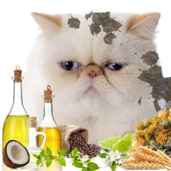 The Blissful Cat Stinky Filthy Cat Shampoo image {5}