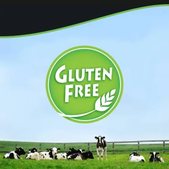 Mint Chocolate Chip Ice Cream - 48oz - Breyers image {6}