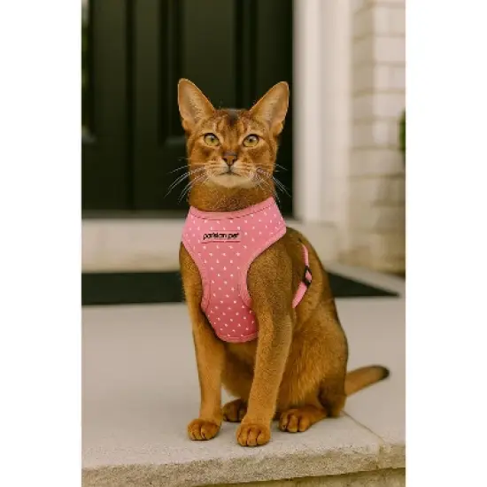 Parisian Pet 'Pink Dot Harness' for Dogs & Cats &ndash; Adjustable, Comfortable Pink Polka Dot Dog Harness, Stylish Fit for Small Pets image {3}