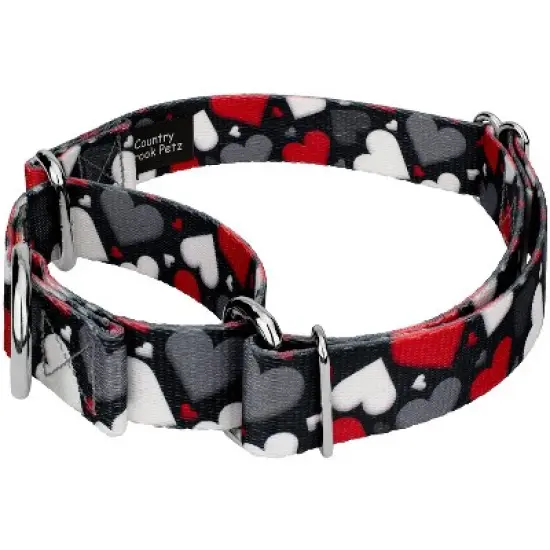 Country Brook Petz Martingale Dog Collar - Affection Collection image {1}