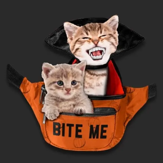 Men's Bite Me Cats Short Sleeve Graphic T-Shirt - Charcoal Gray - Halloween image {2}