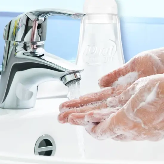 Dial Complete Foam Hand Soap - 15 fl oz/4pk image {3}