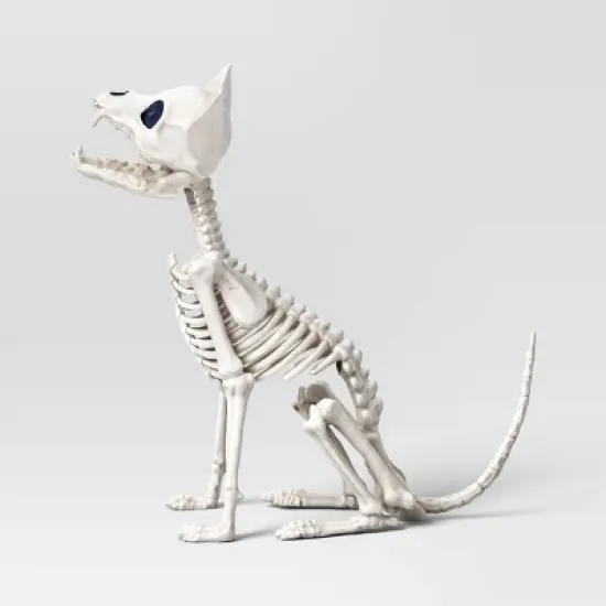 11.5" Chihuahua Skeleton Halloween Decorative Prop - Hyde and EEK! Boutique&trade; image {2}