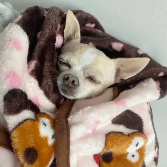 Snuggle Puppy Blanket for Pets - Pink image {2}