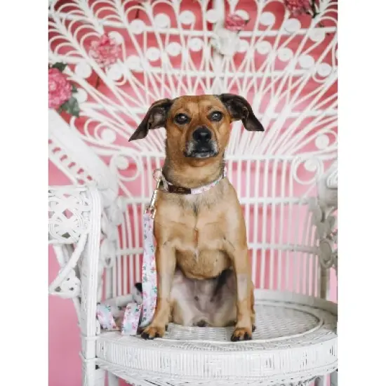 Pink Papyrus Isabella Dog Leash image {2}