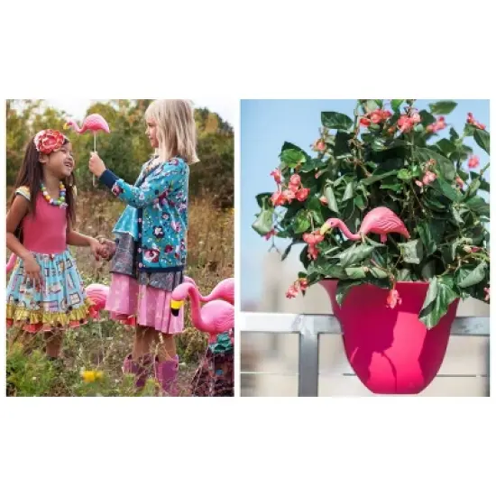 2pk - 11" Mini Mingo - Bloem image {5}