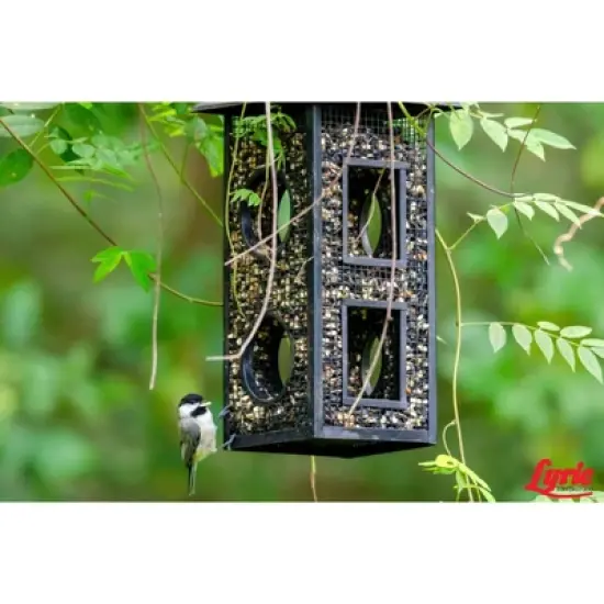 Lyric Chickadee Wild Bird Seed - Sunflower & Nut Premium Wild Bird Seed for Outside Feeders, for Chickadees, Nuthatches & Titmice - 4 lb Bag image {7}