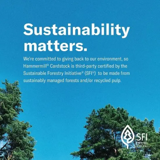 Hammermill Premium 110 lb. Cardstock Paper 8.5" x 11" White 200 Sheets/Ream (168380R) image {4}