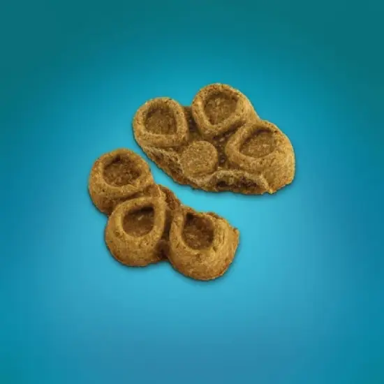 Fruitables Biggies Almond Butter & Coconut Crunchy Dog Treats - 16oz image {1}