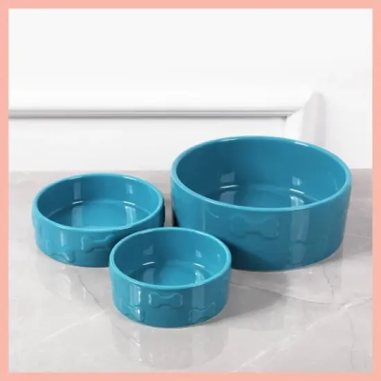 Park Life Designs 2c Manor Dog Bowl - Aqua Blue image {5}