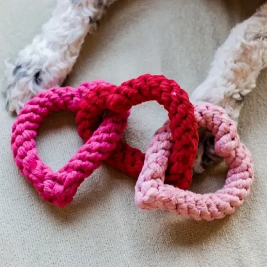 Midlee Interlocking Heart Rope Valentine Dog Toy - 6" image {1}