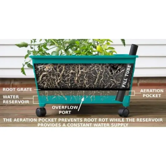 Emsco Little Pickers Raised Bed Children's Grow Box Rectangular Outdoor Planter Teal Green 24"x20"x30": Kids Gardening Accessory image {2}