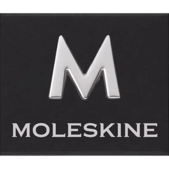 Moleskine Pins M Silver image {2}