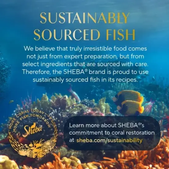 Sheba Selections Filets in Broth Complements Chicken and Tuna Flavor Variety Pack Wet Cat Food - 10.4oz/8ct image {8}