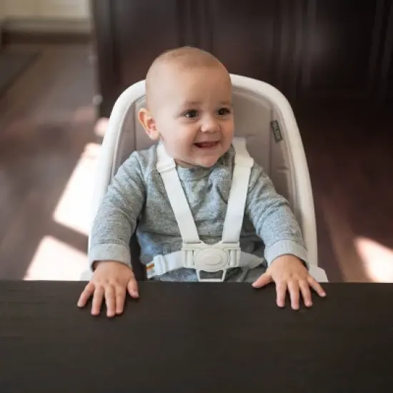 TruBliss 2-in-1 Turn-A-Tot High Chair with 360&deg; Swivel  image {5}