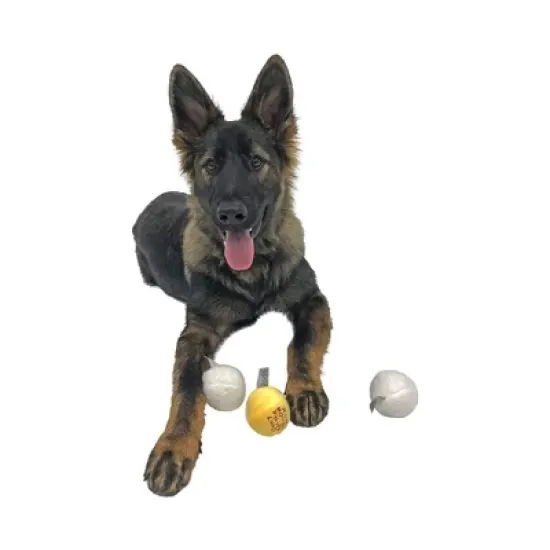 Midlee Snowball Fight Plush Dog Toy - 3" image {2}