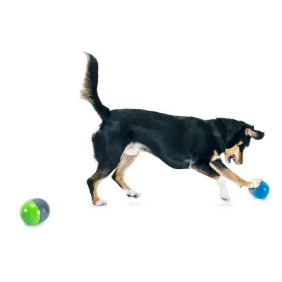 PetSafe Ricochet Battery Dog Toy - Gray image {2}