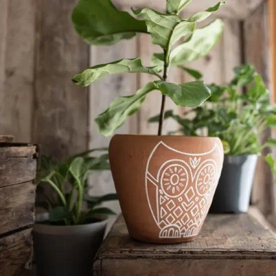 Owl Multi Terracotta Planter - Foreside Home & Garden image {5}