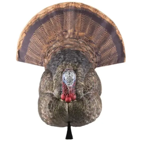 Avian X Lifelike Collapsible Decoy Strutter, Turkey Decoy image {1}