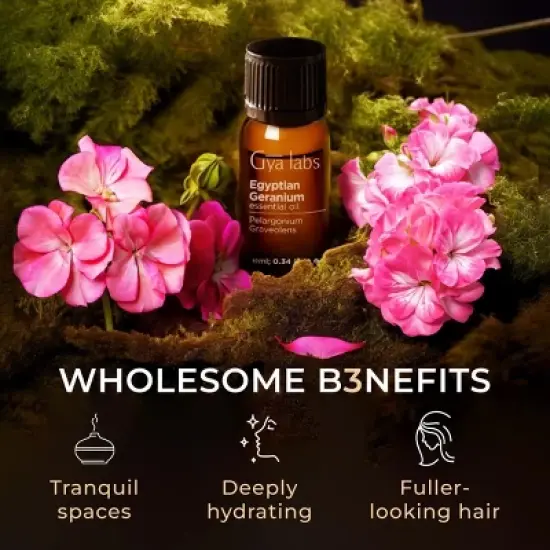 Gya Labs Egyptian Geranium Essential Oil -  0.34 Fl Oz - Aromatherapy image {4}