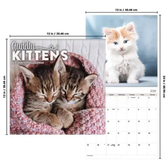 Trends International 2026 Cuddly Kittens 12"x12" Wall Calendar image {6}