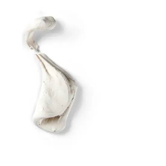 Crayola 4oz Model Magic - White: Non-Drying, Reusable, Non-Toxic Modeling Clay for Kids, Creative Thinking, Ages 3+ image {4}