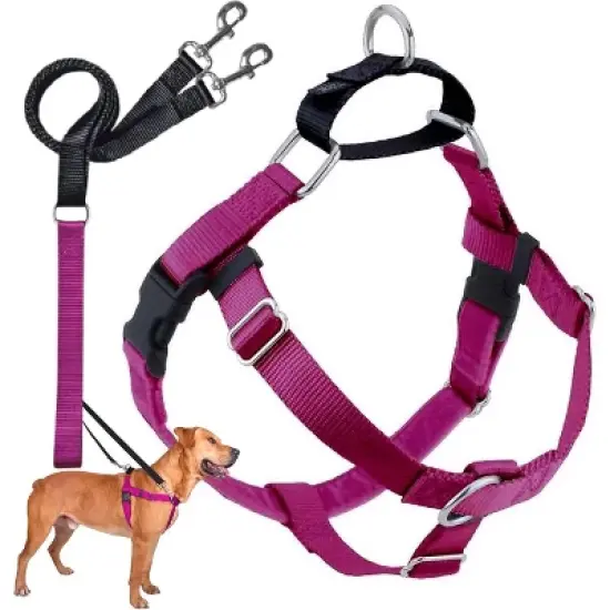 2 Hounds Design Freedom No-Pull Dog Harness Training Package, Medium (1" wide), Raspberry image {7}