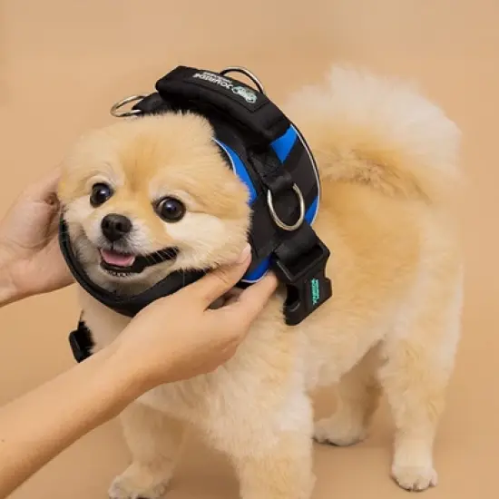 Joyride Harness Premium Advanced No Pull Dog Harness 2.0 image {4}