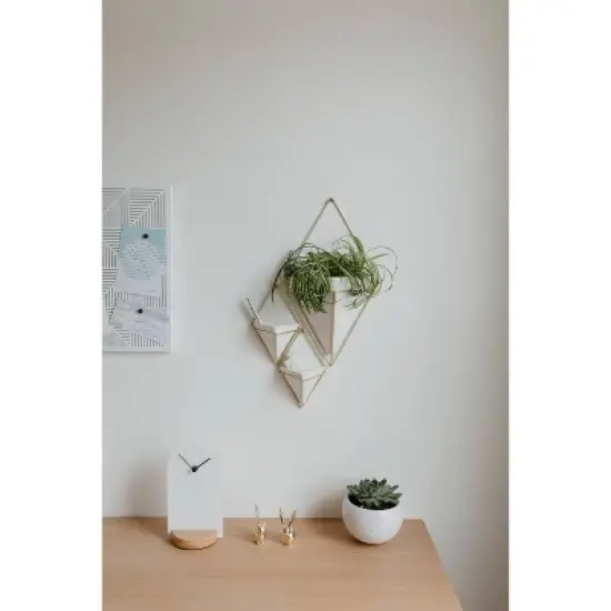 Set of 2 Trigg Wall Display Planters White/Brass - Umbra image {16}