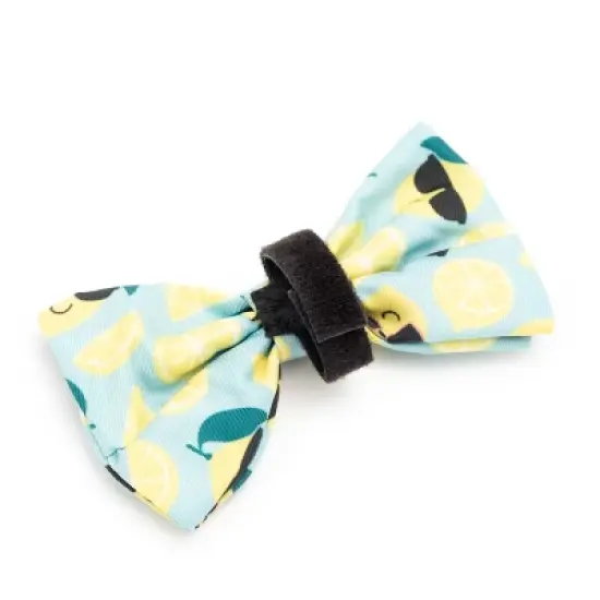 The Worthy Dog Lemons Adjustable Bow Tie Accessory image {1}