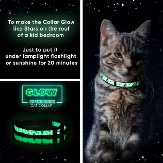 Pawtitas Glow In The Dark Adjustable Cat Collar image {1}