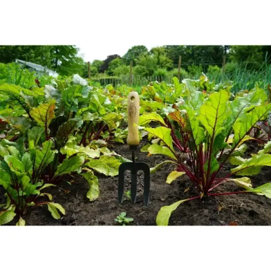 DeWit Welldone Hand Fork &ndash; Heavy-Duty, Well-Balanced Garden Tool, 10.8&rdquo;L image {2}