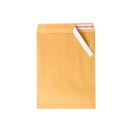 JAM Paper Peel and Seal Open End Self Seal #13 Catalog Envelope 10" x 13" BN 13034233C image {1}