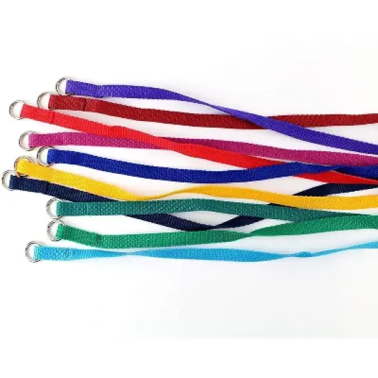 Midlee 4 Foot Dog Kennel Slip Lead Heavy Duty Nylon Pack of 10 image {9}