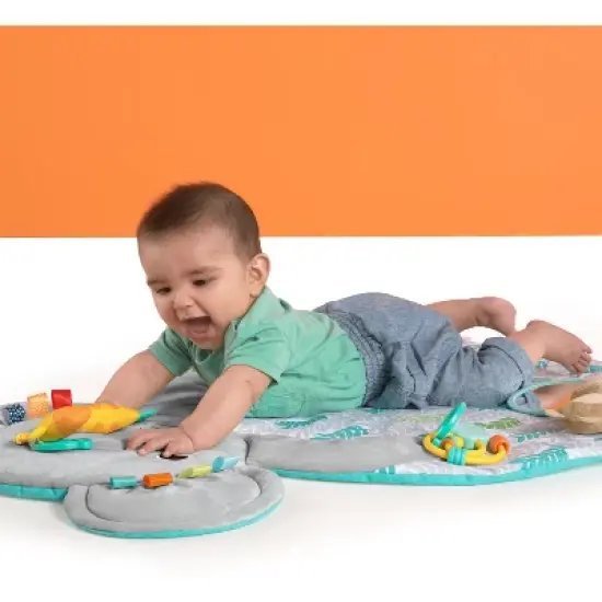 Bright Starts Hug &lsquo;n Cuddle Elephant Activity Gym image {14}