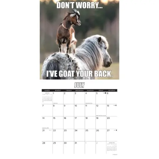 Willow Creek Press 2024 Wall Calendar 12"x12" You Goat This image {2}